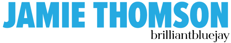 Text logo for artist Jamie Thomson: JAMIE THOMSON in large, bold, light blue capitals with brilliantbluejay in smaller, black lowercase letters underneath on the right.