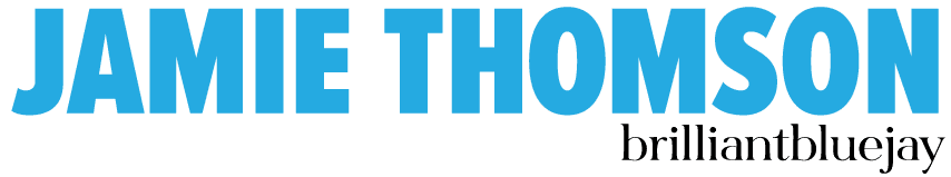 Text logo for artist Jamie Thomson: JAMIE THOMSON in large, bold, light blue capitals with brilliantbluejay in smaller, black lowercase letters underneath on the right.